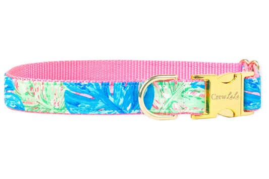 Lilly Palms Dog Collar - Crew LaLa