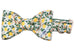 Lovely Lemon Bow Tie Dog Collar - Two Styles