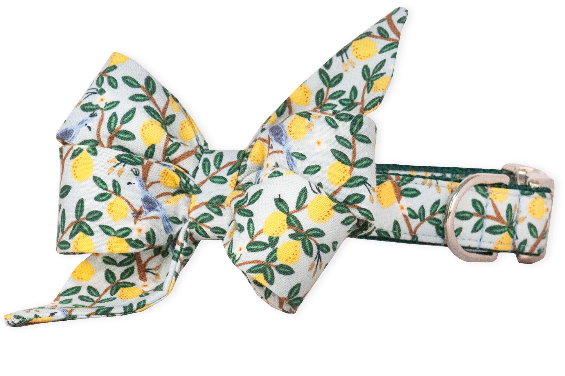 Lovely Lemon Belle Bow Dog Collar - Two Styles - Crew LaLa