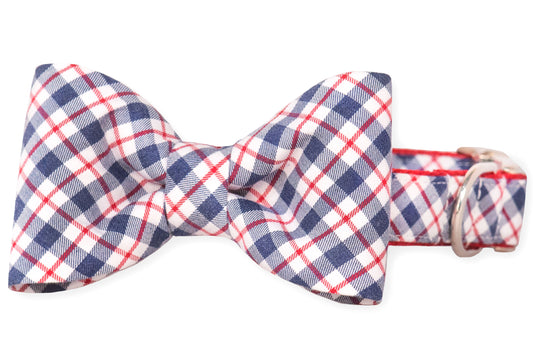 Palmetto Plaid Bow Tie Collar - Crew LaLa