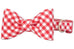 Red Picnic Plaid Bow Tie Dog Collar