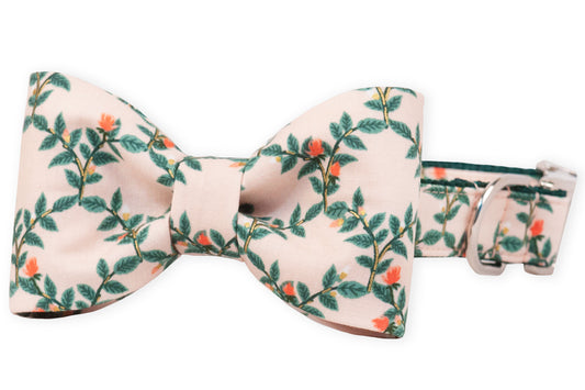 Rosy Vines Bow Tie Dog Collar - Crew LaLa