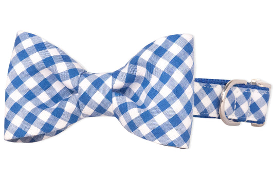 Royal Blue Picnic Plaid Bow Tie Dog Collar - Crew LaLa