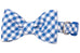 Royal Blue Picnic Plaid Bow Tie Dog Collar