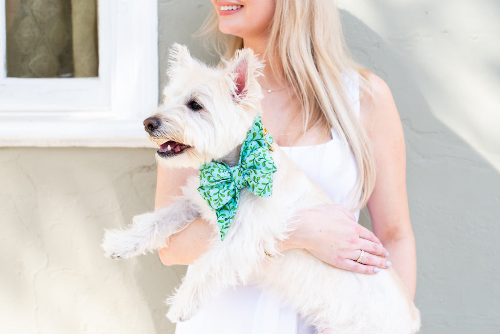 Secret Garden Belle Bow Dog Collar - Crew LaLa