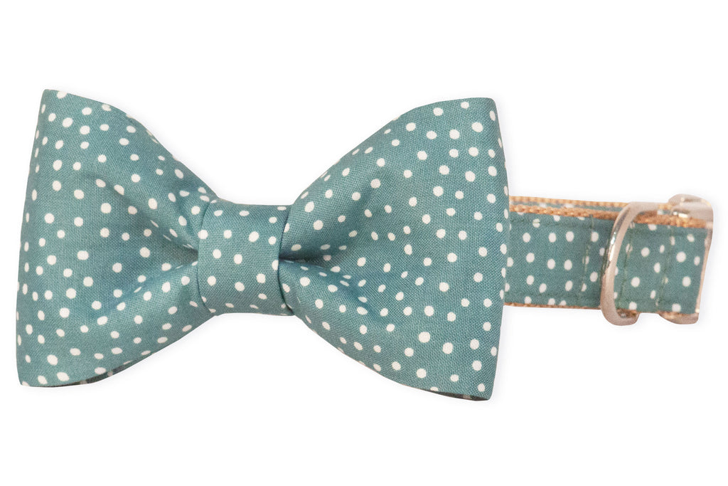 Sage Spots Bow Tie Dog Collar
