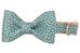 Sage Spots Bow Tie Dog Collar