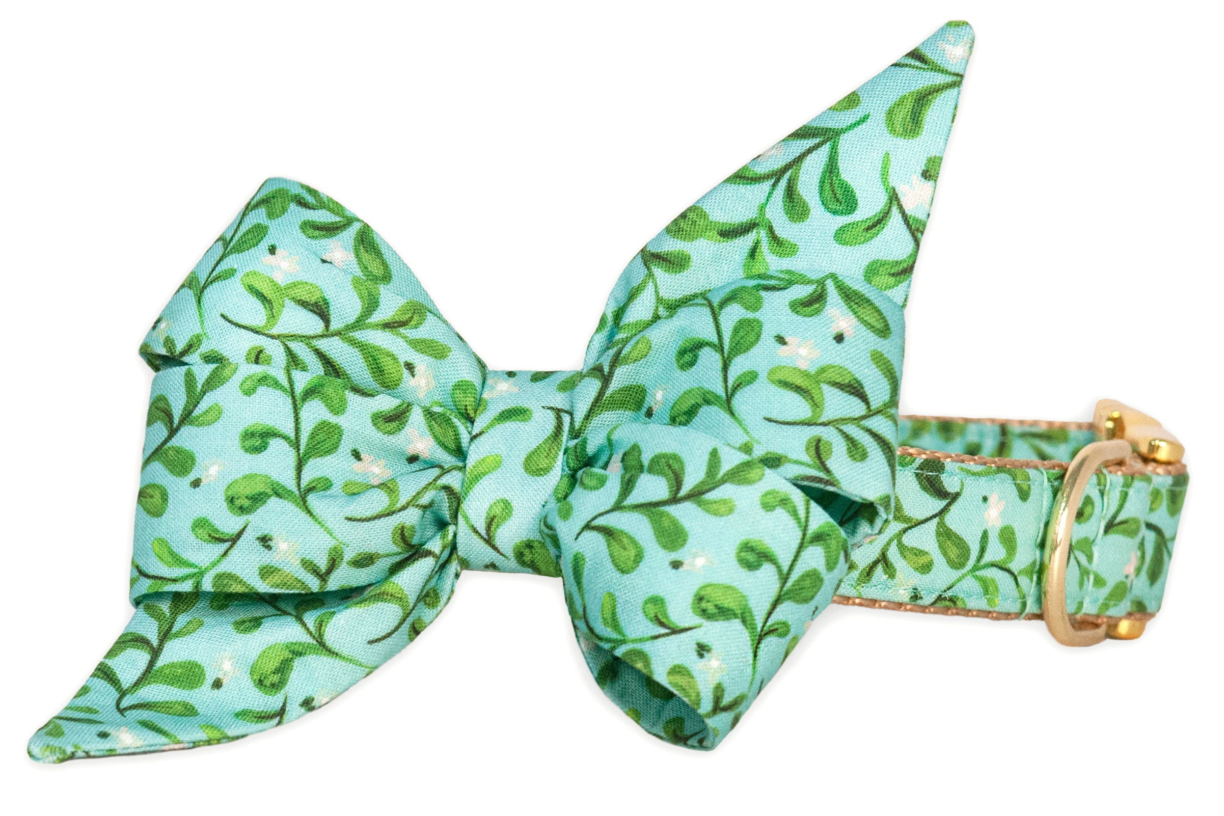 Secret Garden Belle Bow Dog Collar - Crew LaLa