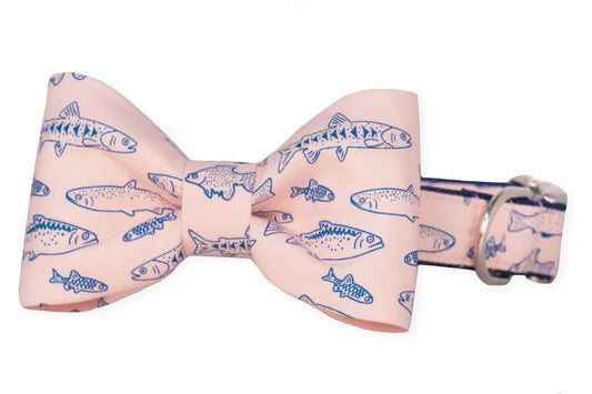 Skipper's Catch Bow Tie Dog Collar - Crew LaLa