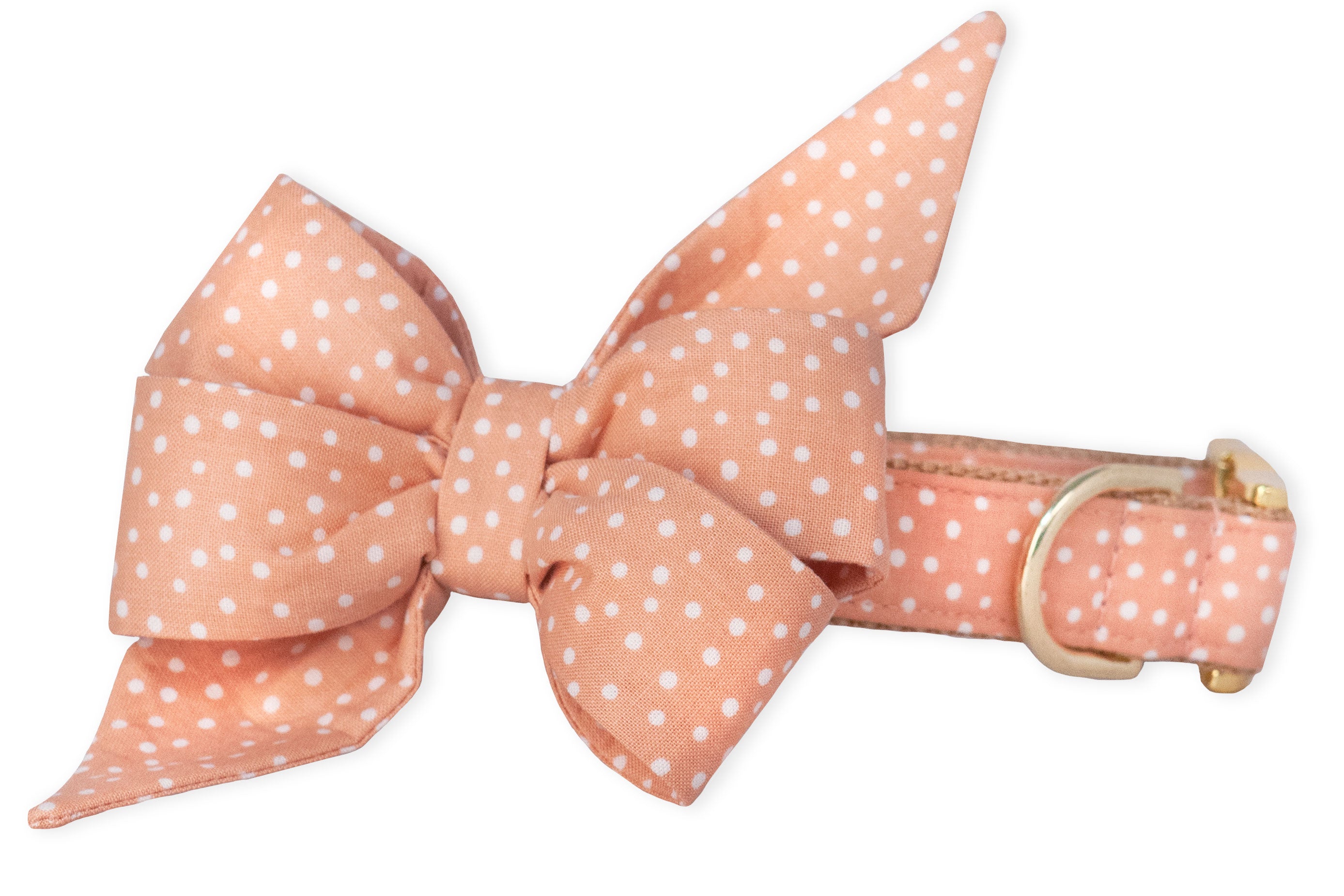 Sorbet Spots Belle Bow Dog Collar - Crew LaLa