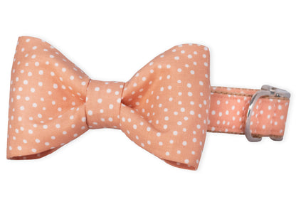 Sorbet Spots Bow Tie Dog Collar - Crew LaLa