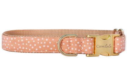 Sorbet Spots Bow Tie Dog Collar - Crew LaLa