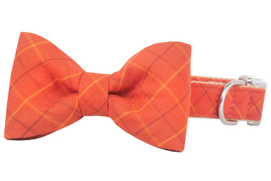 Spiced Chai Plaid Bow Tie Dog Collar - Crew LaLa