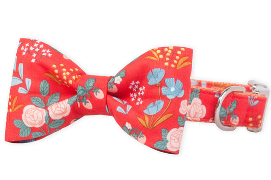 Tea Garden Bow Tie Dog Collar - Crew LaLa