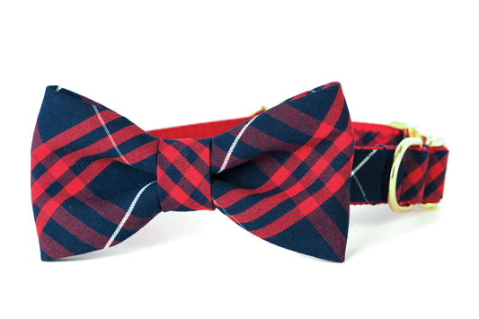 Town and Country Bow Tie Dog Collar - Crew LaLa