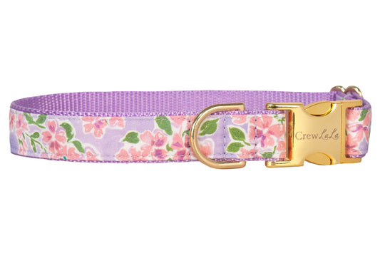 Tuscan Terrace Dog Collar - Crew LaLa