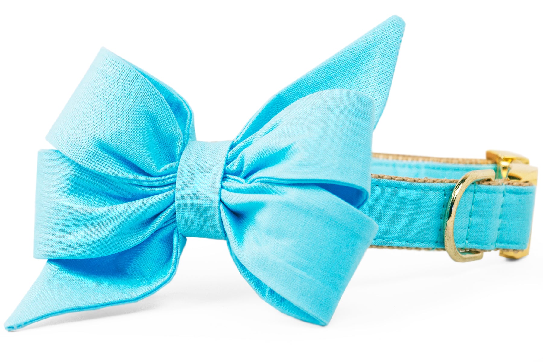 Bahama Blue Belle Bow™ Dog Collar - Crew LaLa