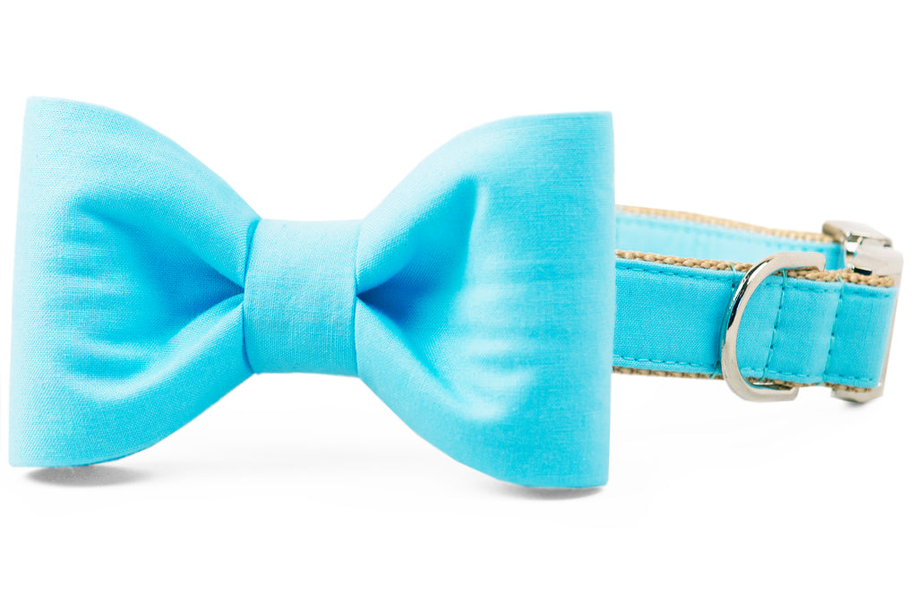 Bahama Blue Bow Tie Dog Collar - Crew LaLa
