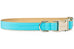 Bahama Blue Bow Tie Dog Collar - Crew LaLa