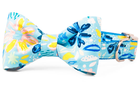 Bayside Blooms Bow Tie Dog Collar - Crew LaLa