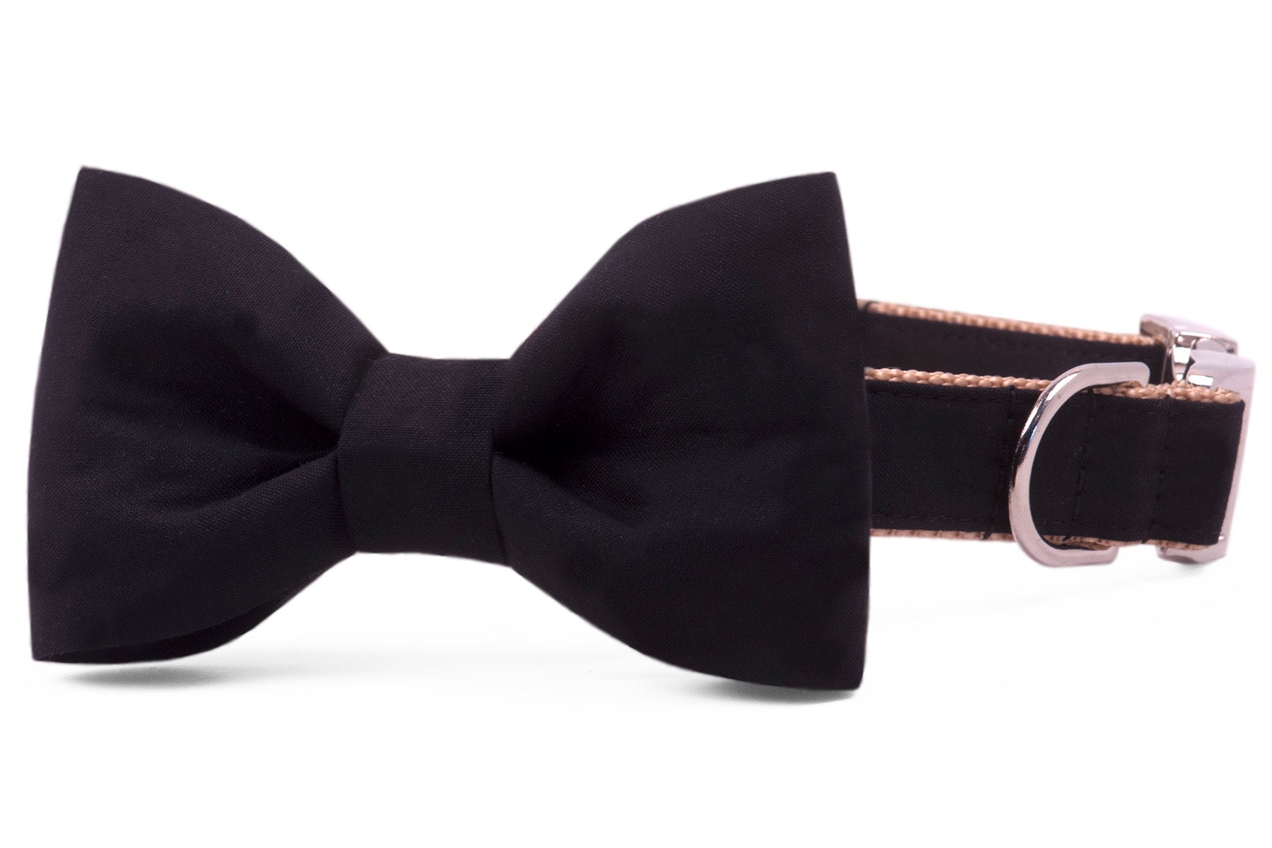 Black Onyx Bow Tie Dog Collar - Crew LaLa