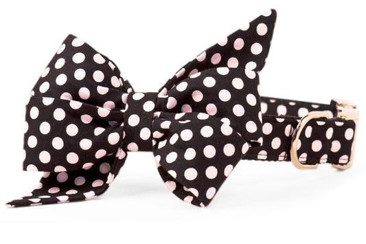 Black & White Polka Dot Belle Bow Dog Collar - Crew LaLa