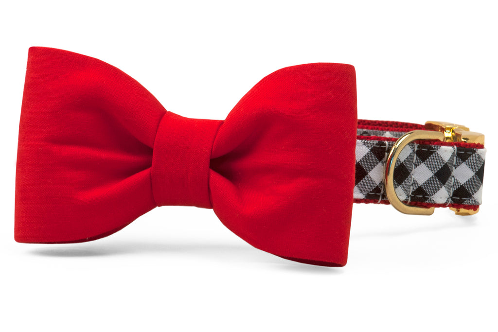 Georgia Red on Black Check Bow Tie Dog Collar - Crew LaLa