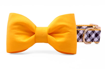 Steelers Yellow on Black Check Bow Tie Dog Collar - Crew LaLa