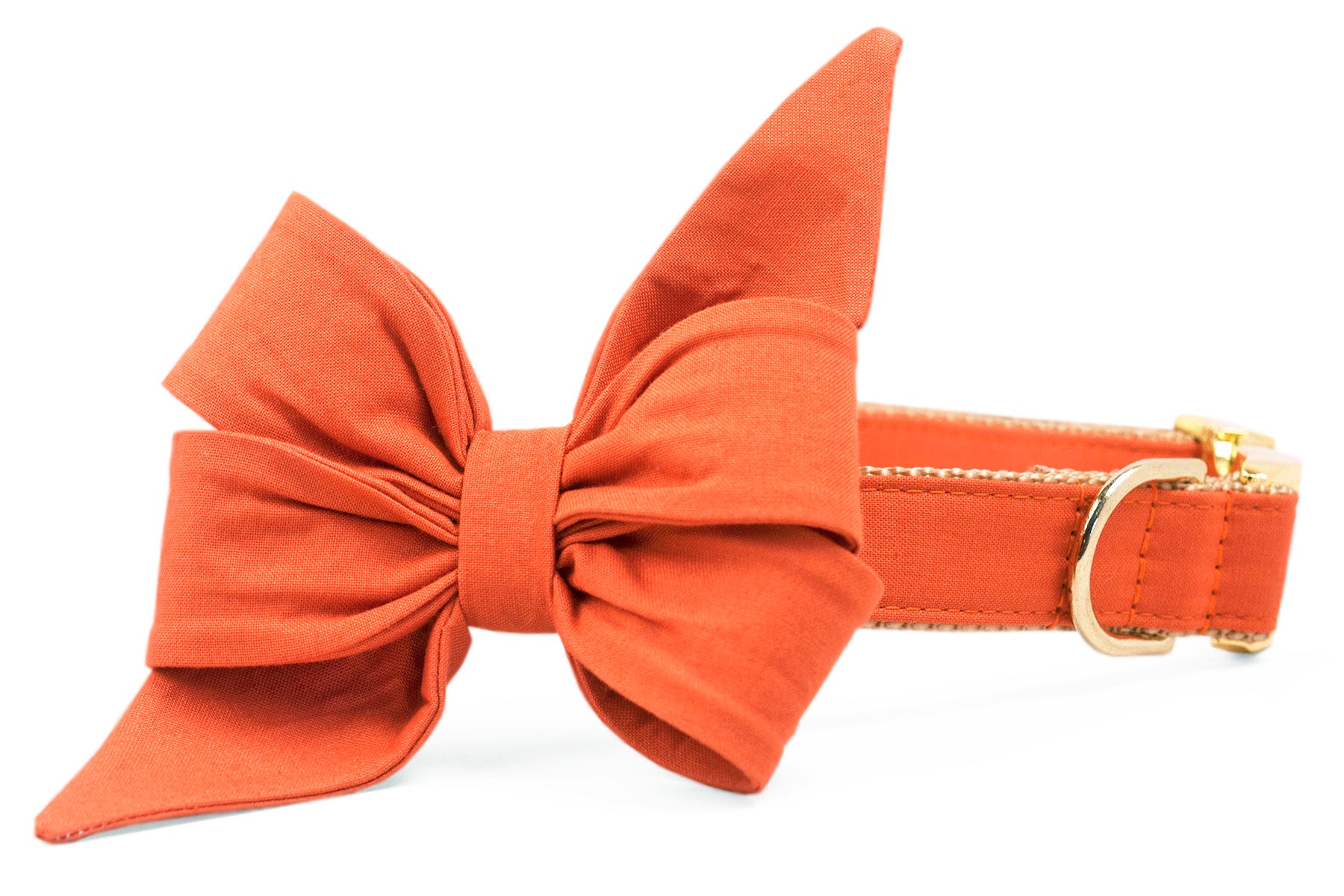 Burnt Orange Belle Bow Dog Collar - Crew LaLa