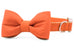 Burnt Orange Bow Tie Dog Collar - Crew LaLa