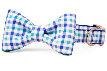 Cali Check Bow Tie Collar - Crew LaLa