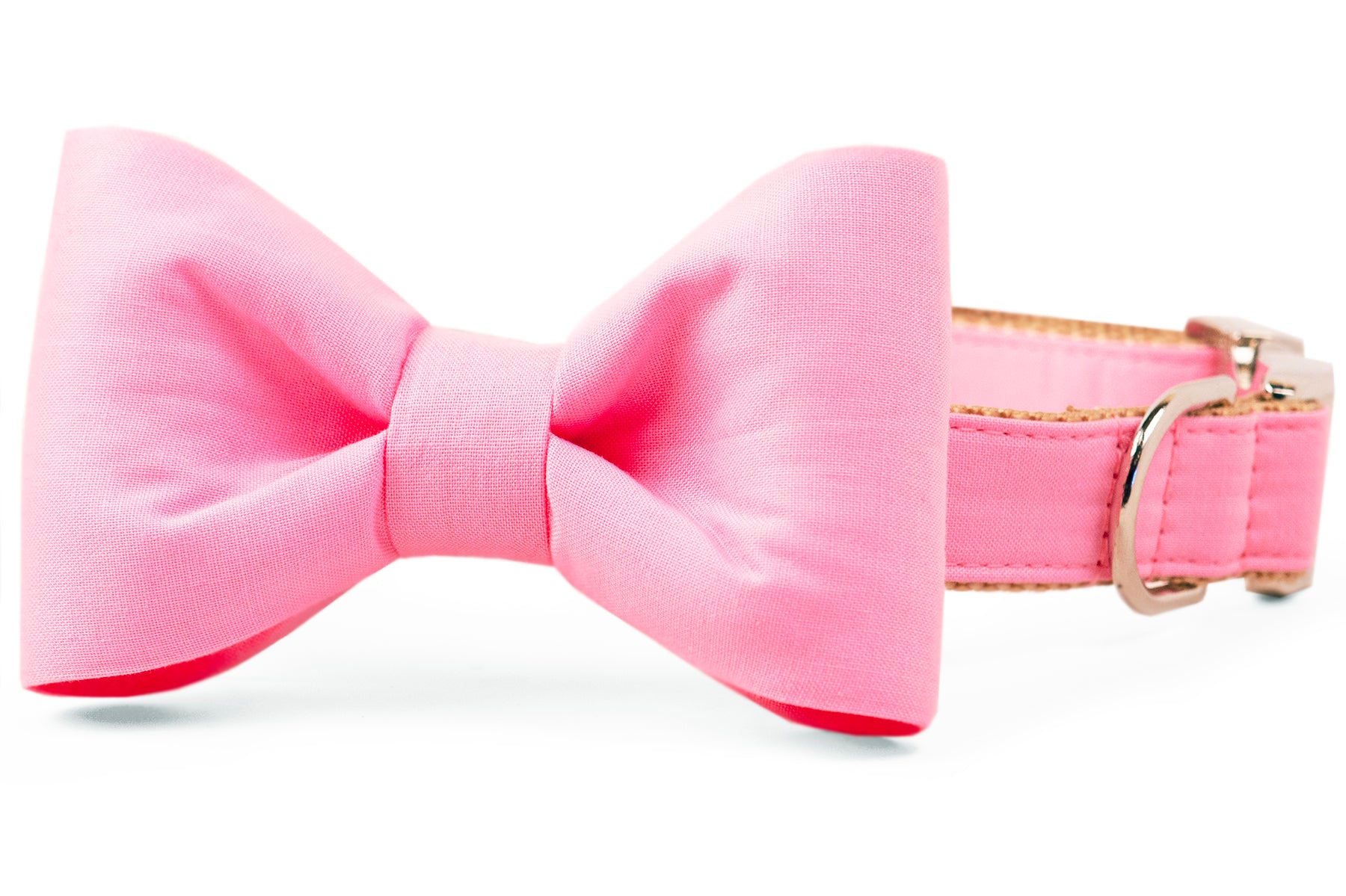 Carnation Pink Bow Tie Dog Collar - Crew LaLa
