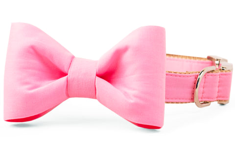 Carnation Pink Bow Tie Dog Collar - Crew LaLa