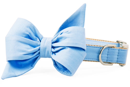 Carolina Blue Belle Bow Dog Collar - Crew LaLa