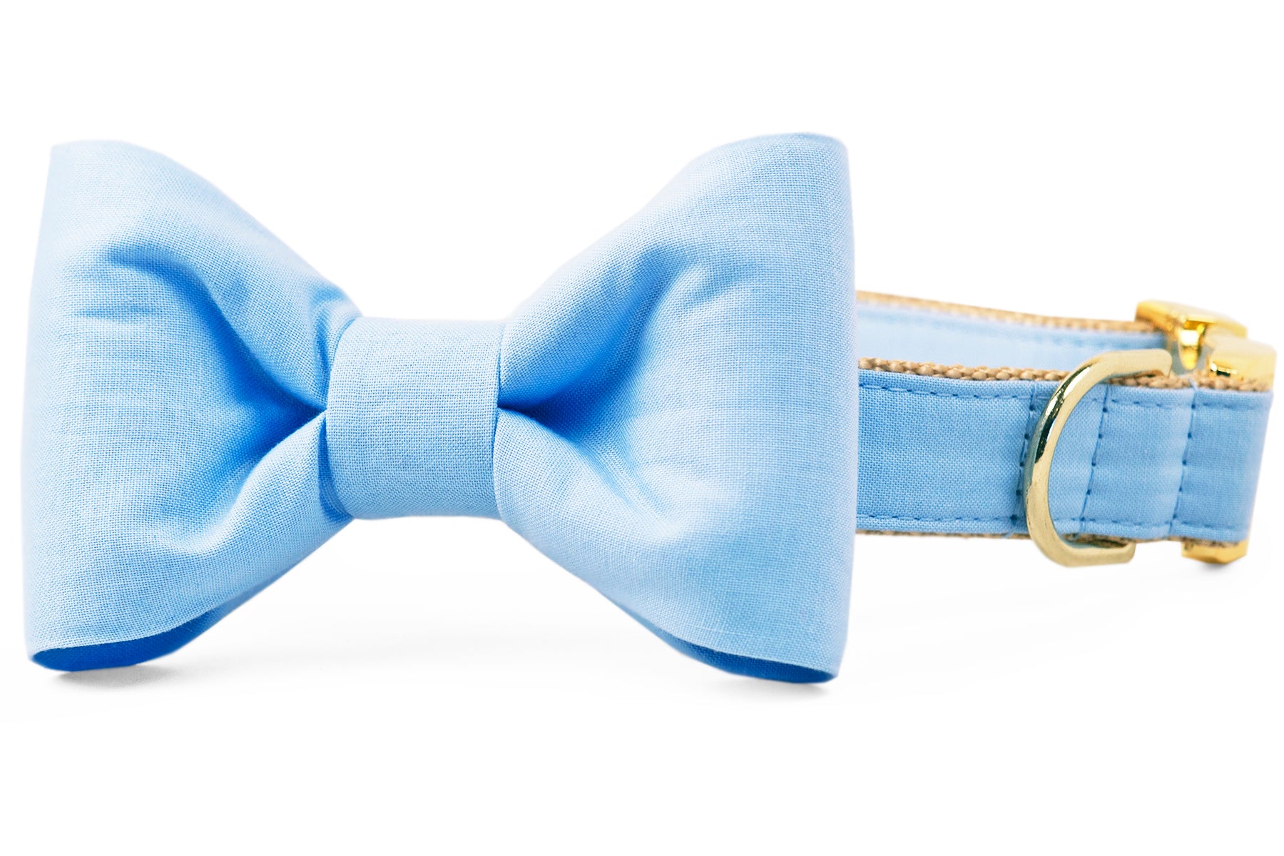 Carolina Blue Bow Tie Dog Collar - Crew LaLa