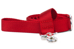 Cherry Red Webbing Dog Leash