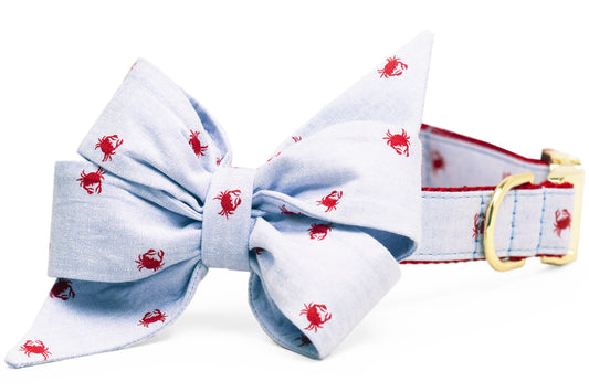 Feeling Crabby Belle Bow Dog Collar - Crew LaLa