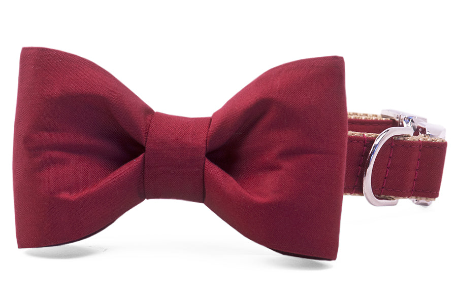 Crimson Bow Tie Dog Collar - Crew LaLa