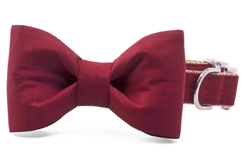 Crimson Bow Tie Dog Collar