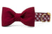 Alabama Crimson on Crimson Check Bow Tie Dog Collar - Crew LaLa