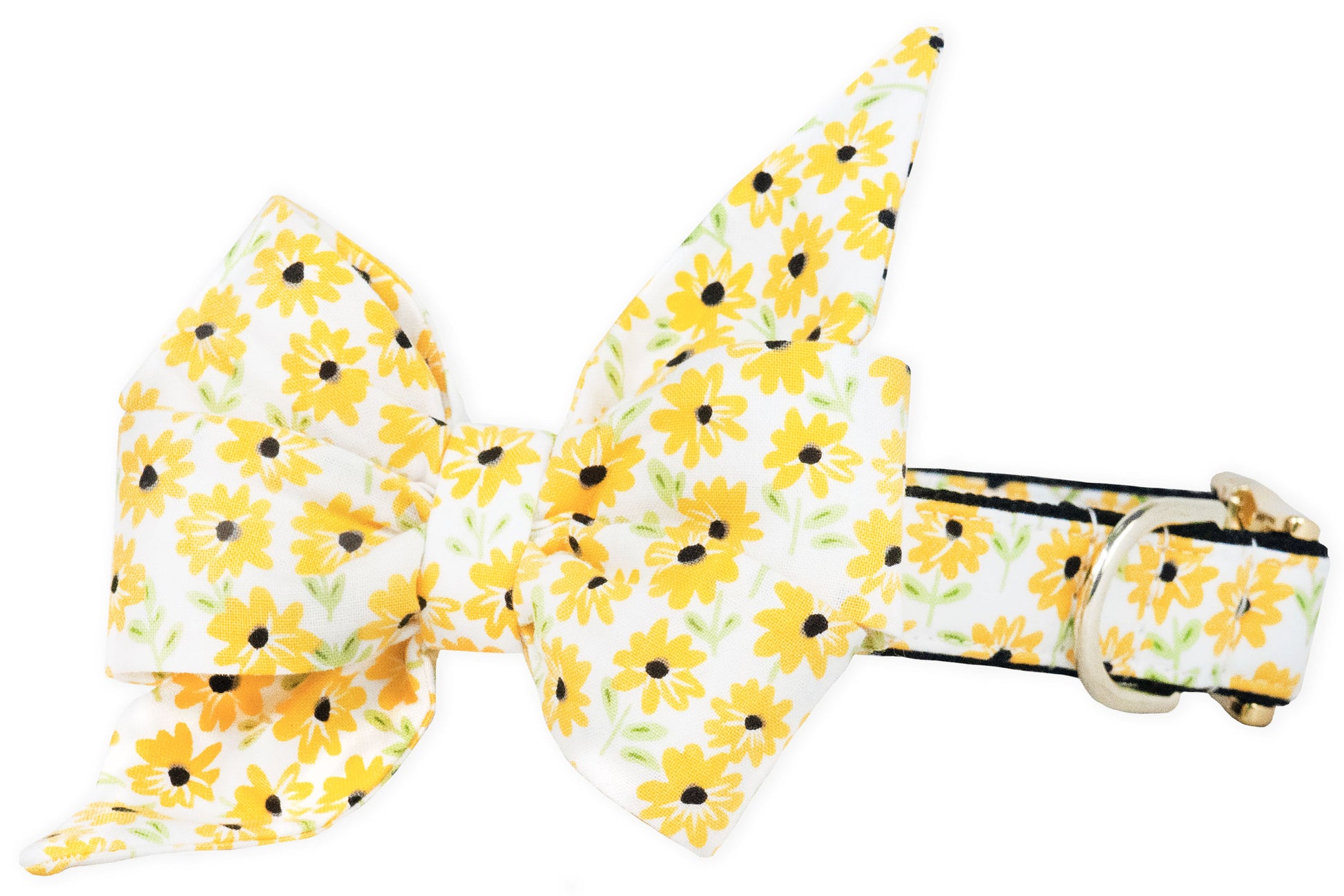 Drew's Daisies Belle Bow Dog Collar - Crew LaLa