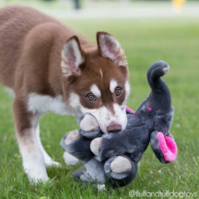 Fluff & Tuff™ "Edsel the Elephant" Dog Toy - Crew LaLa