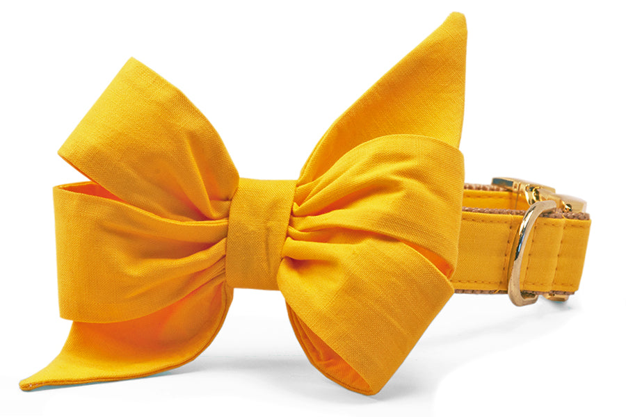Golden Yellow Belle Bow Dog Collar