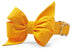 Golden Yellow Belle Bow Dog Collar