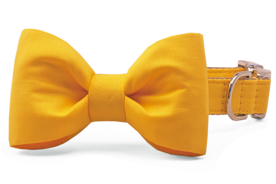 Golden Yellow Bow Tie Dog Collar - Crew LaLa