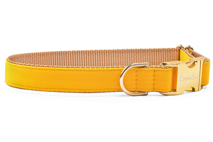 Golden Yellow Bow Tie Dog Collar - Crew LaLa