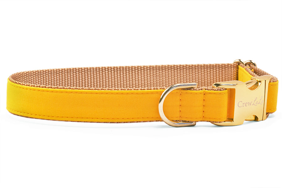 Golden Yellow Belle Bow Dog Collar - Crew LaLa