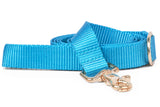 Ice Blue Webbing Dog Leash