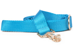 Ice Blue Webbing Dog Leash