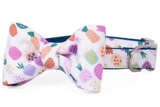 Island Party Bow Tie Dog Collar - Crew LaLa